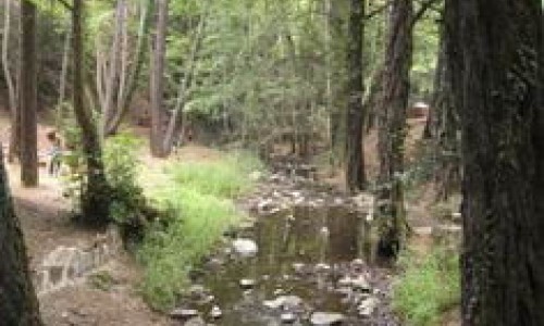 Komititzi Picnic Site, Nicosia, Cyprus