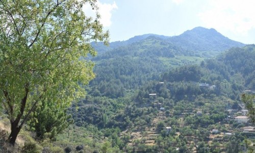 lagoudera