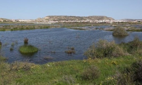 Oroklini Lake 