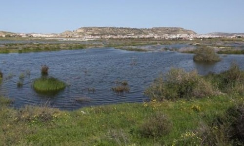Oroklini Lake, Larnaca, Cyprus