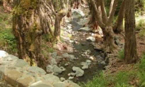 Milia Medieval Bridge - Platres 