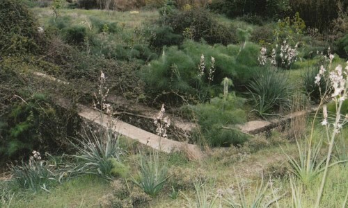 Pipis Nature Trail, Larnaca, Cyprus