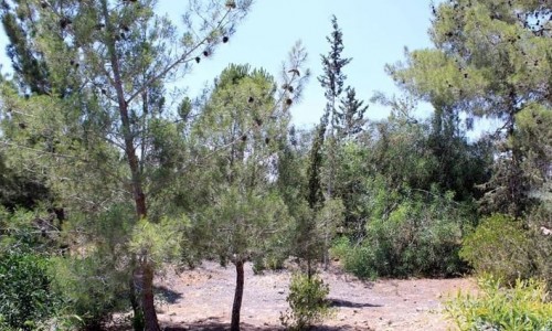 Park of Nations - Agios Georgios Nature Trail, Nicosia, Cyprus