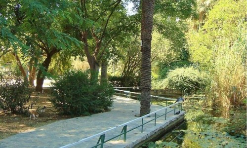 Nicosia municipal gardens