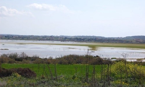 Paralimni Lake, Famagusta, Cyprus