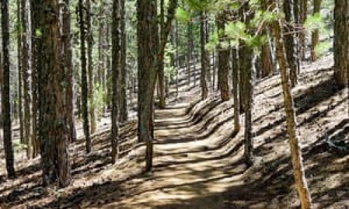 persefoni nature trail
