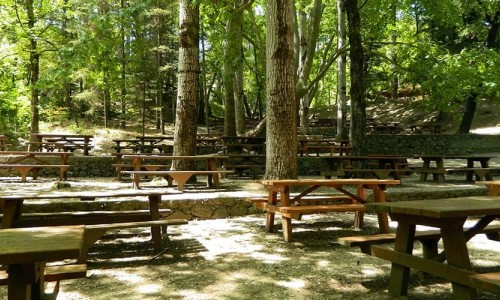 Platania Camping Site, Nicosia, Cyprus