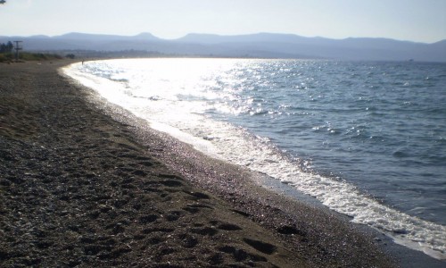 polis-campsite