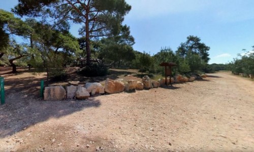 pykni picnic
