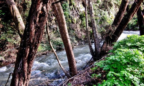 Setrachos River, Nicosia, Cyprus