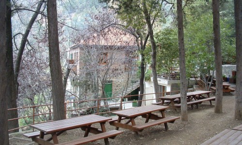 stavros-psokas-camping