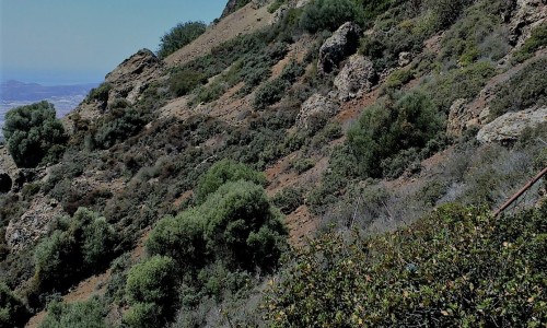 Stavrovouni Forest, Larnaca, Cyprus
