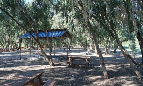 Timi Picnic Site 