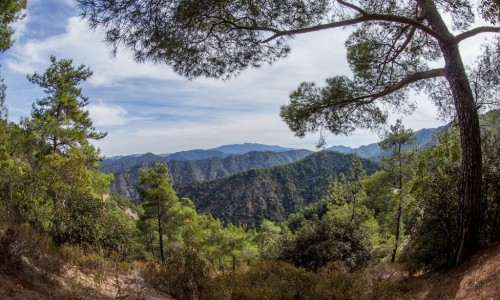 Panthea Nature Trail