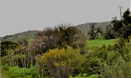 Vasilikos River, Larnaca, Cyprus