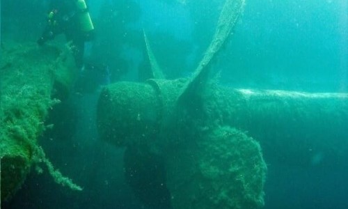 Zenobia wreck diving site, Larnaca, Cyprus