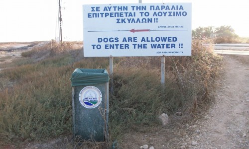 Dog Friendly Beaches in Cyprus