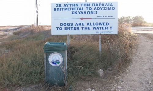 ayia napa dog beach