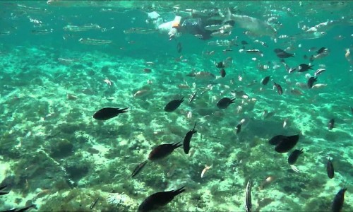 Pernera Beach - Polyxenia, Protaras