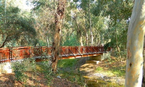 Aglantzia Village, Nicosia, Cyprus