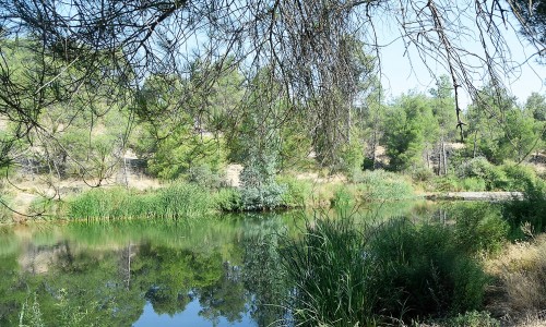 Delikipos Village, Cyprus