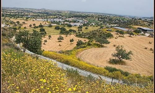 Kofinou Village, Larnaca, Cyprus