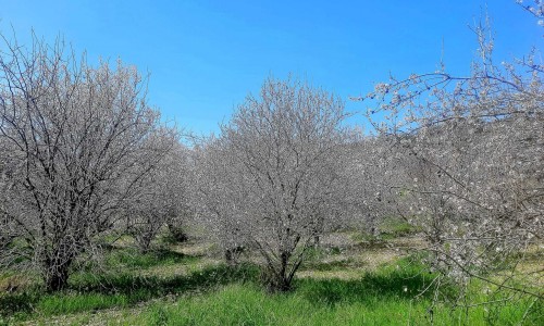 Kritou Marottou Village, Paphos, Cyprus