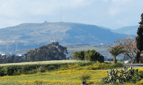 Mandria Village - Paphos, Cyprus
