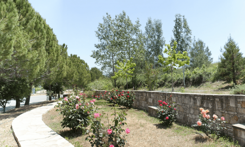 Pera Pedi Village, Limassol