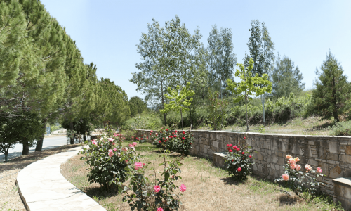 Pera Pedi Village, Limassol, Cyprus