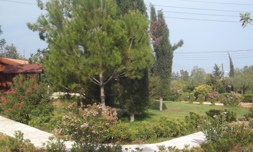 Pano Polemidia, Limassol, Cyprus