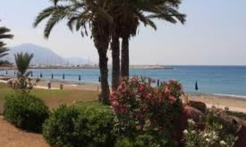Polis Chrysochous, Paphos, Cyprus
