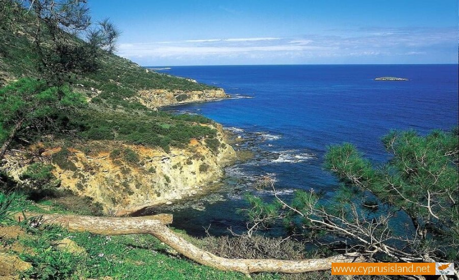 Akamas Peninsula, Paphos, Cyprus