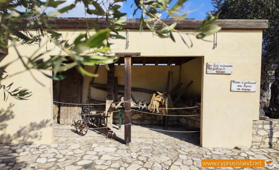 Golden Donkeys Farm - Skarinou