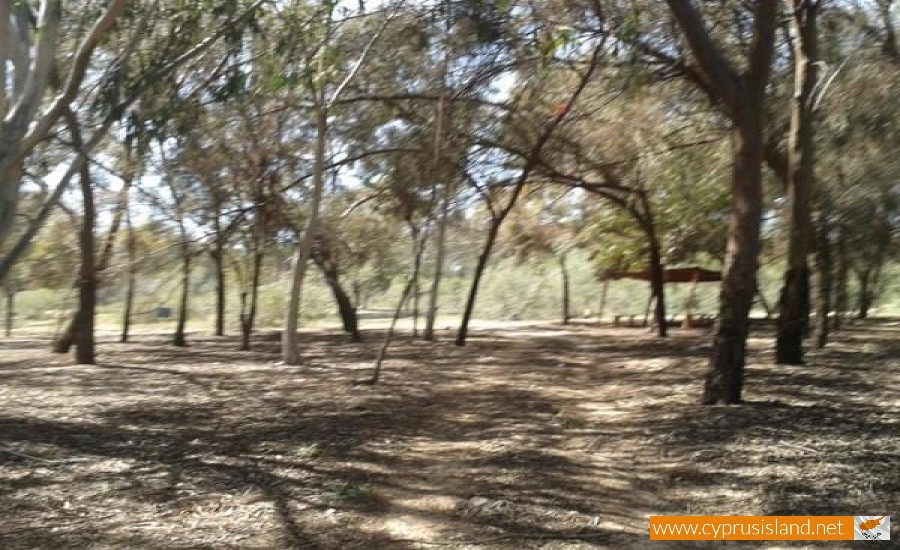 Botanical Garden - Picnic Area of South West Entrance Nature Trail, Nicosia, Cyprus