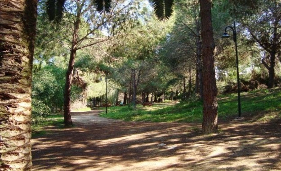 Pedagogical Academy Natural Forest Park, Nicosia, Cyprus
