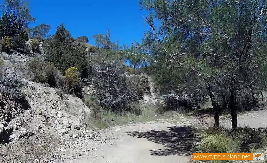 Akamas National Forest, Paphos, Cyprus