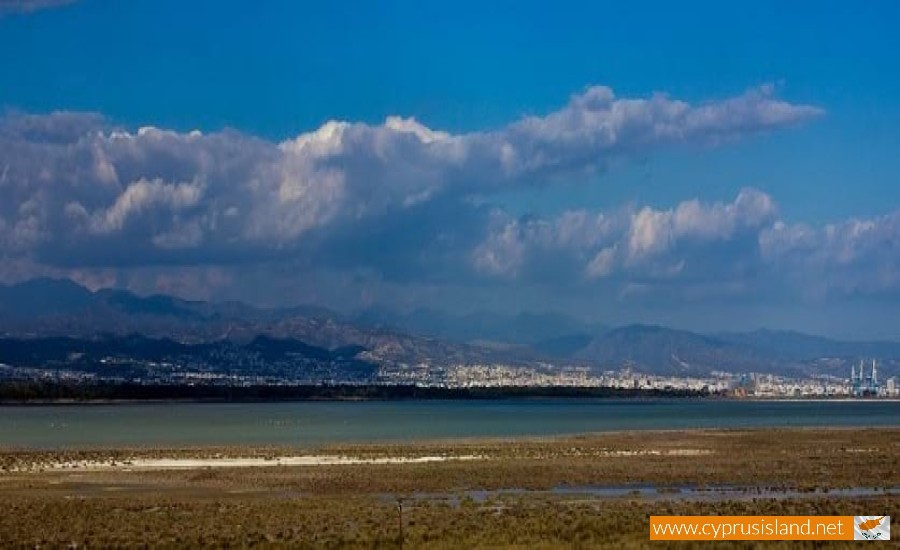 Akrotiri Peninsula, Limassol, Cyprus