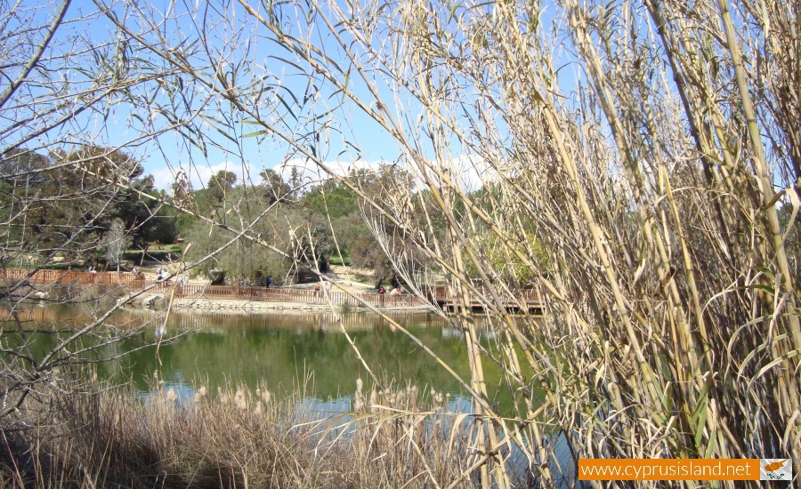 athalassa lake nicosia