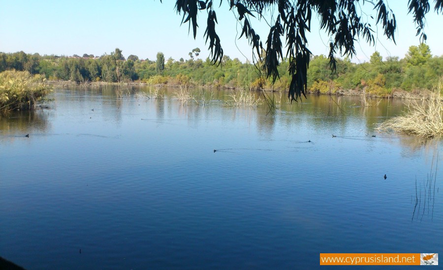Athalassa Lake, Nicosia, Cyprus