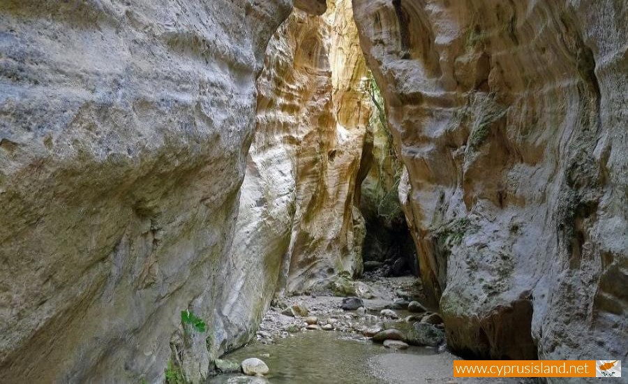 avakas gorge nature paphos