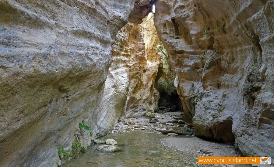 Avakas Gorge