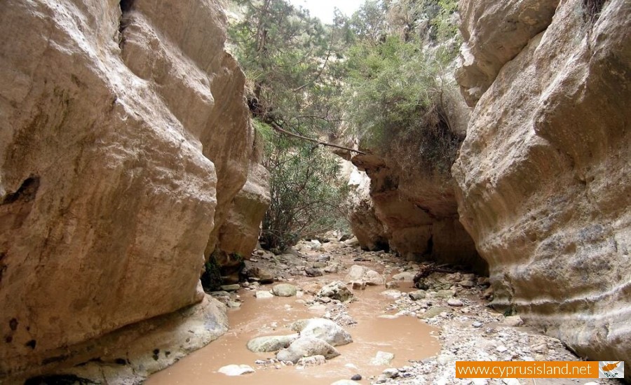 Avakas Gorge  Cyprus Island