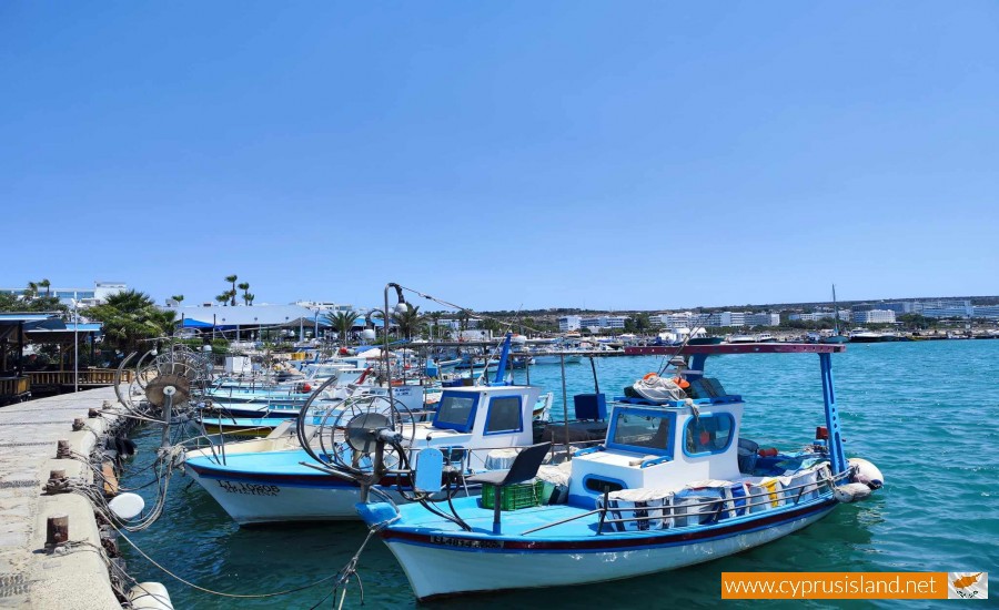 Agia Napa Harbour