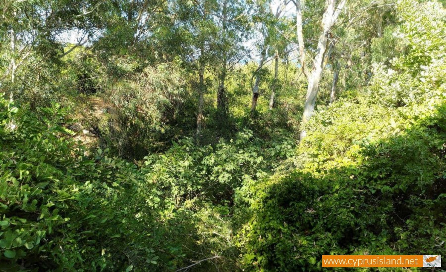 Baths of Aphrodite nature area