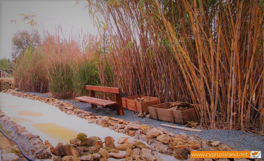 Athalassa Botanical Garden, Nicosia, Cyprus