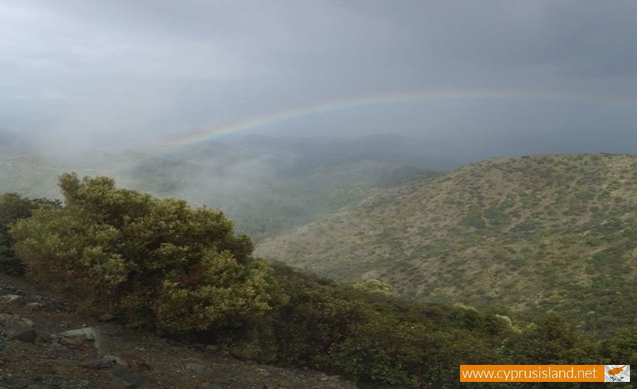 Machairas Forest, Nicosia, Cyprus
