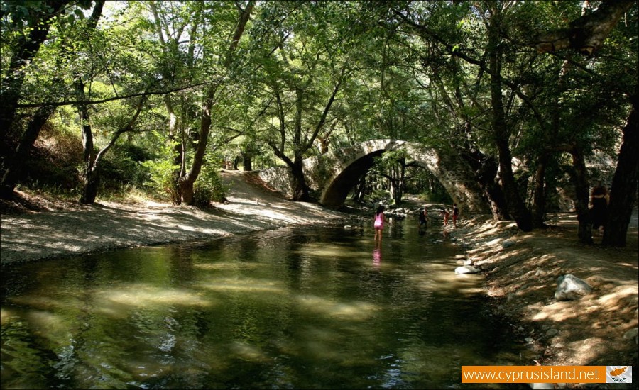 Paphos Forest, Cyprus