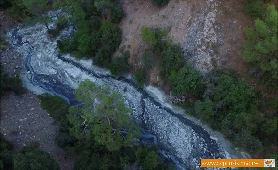 forest paphos cyprus