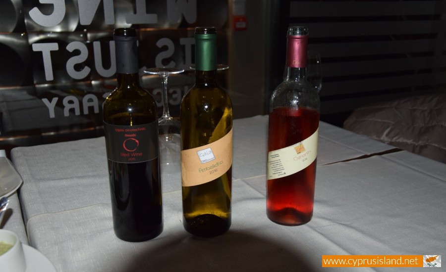 I.M. Gaia Oinotechniki Winery - Agios Amvrosios, Limassol, Cyprus